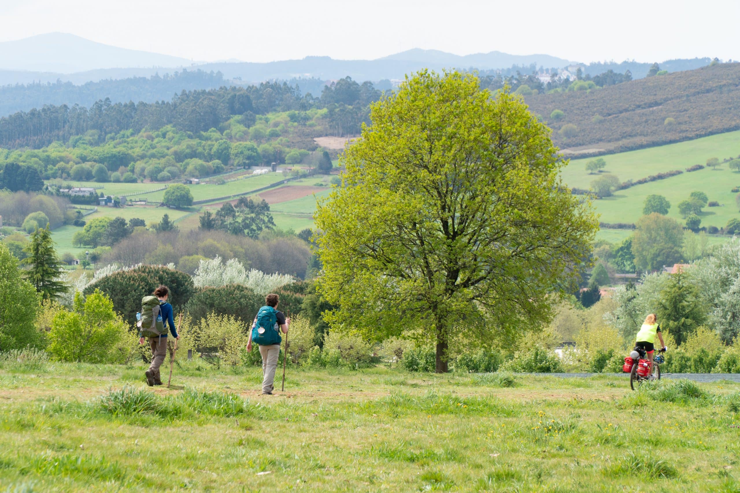 Camino de Santiago desde Tui