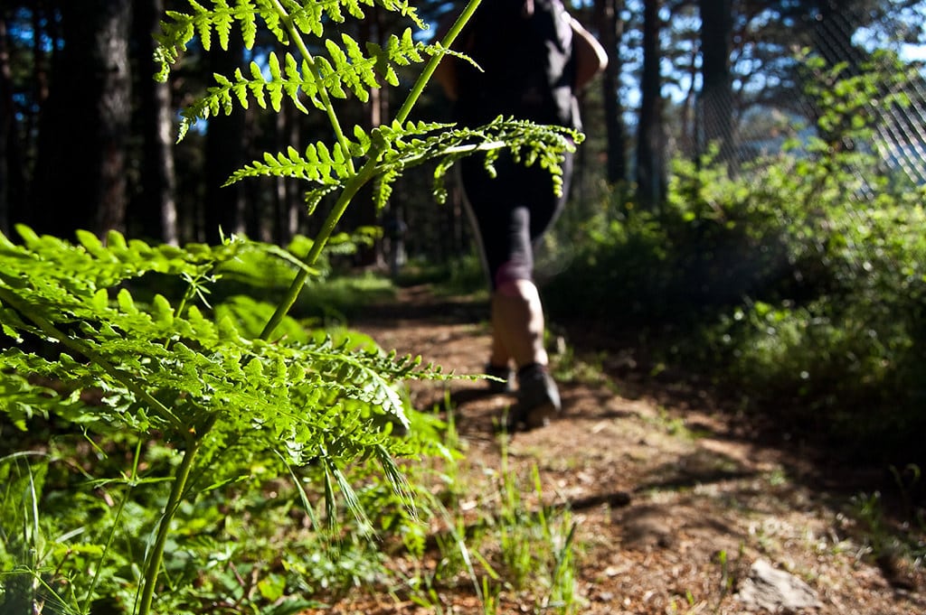 Camino de Santiago en Semana Santa